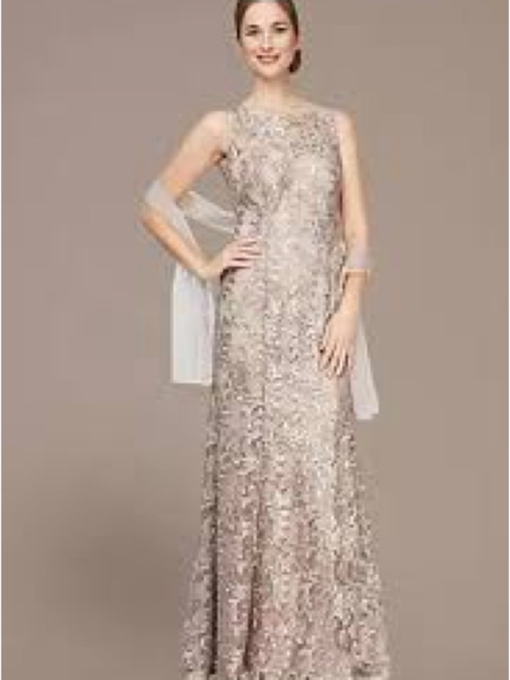 Embroidered Illusion Neck Evening Gown - Champagne